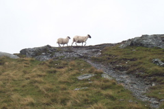 BenLomond-2147