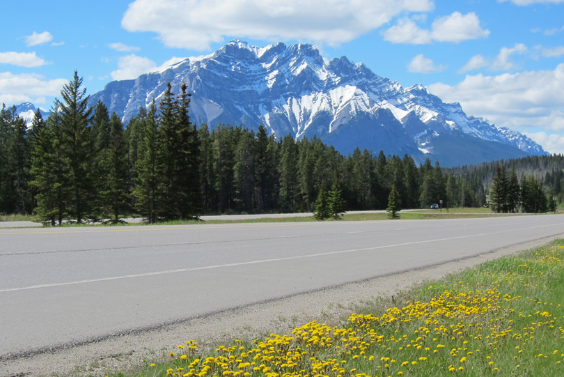 Banff540x810-7502