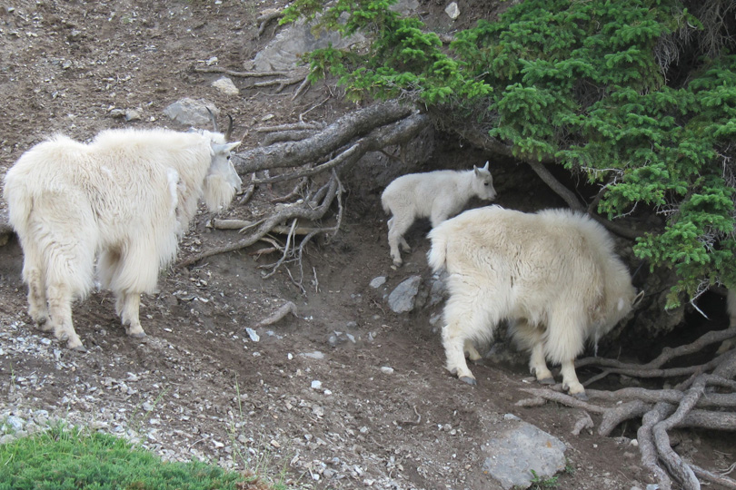 JasperNP540x810-8652