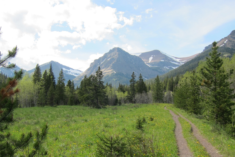 Waterton540x810-7392