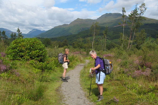 BenLomond-1133h