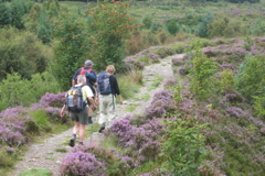HeatherPath-1206h