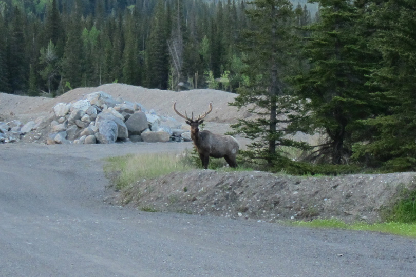 Banff540x810-7810