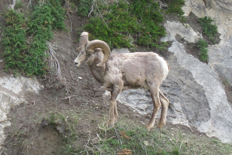 JasperNP540x810-8666