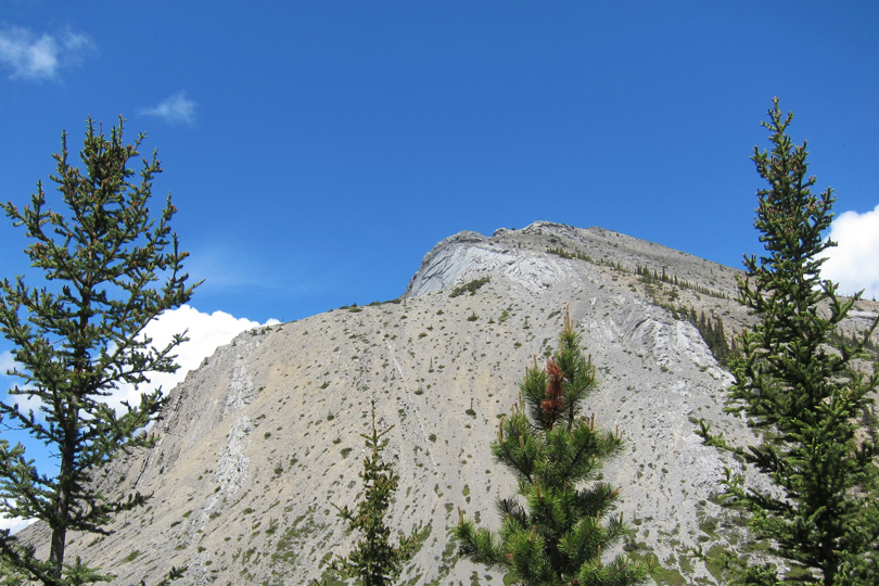 JasperNP540x810-8680