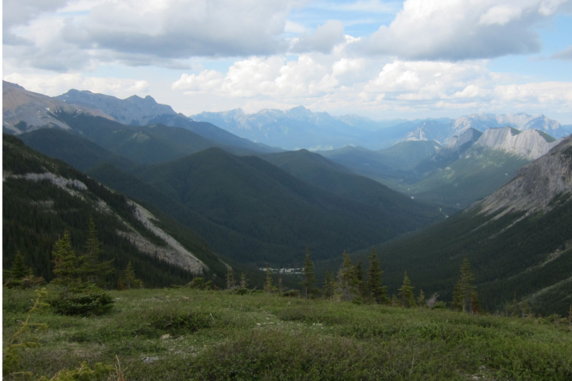 JasperNP540x810-8688