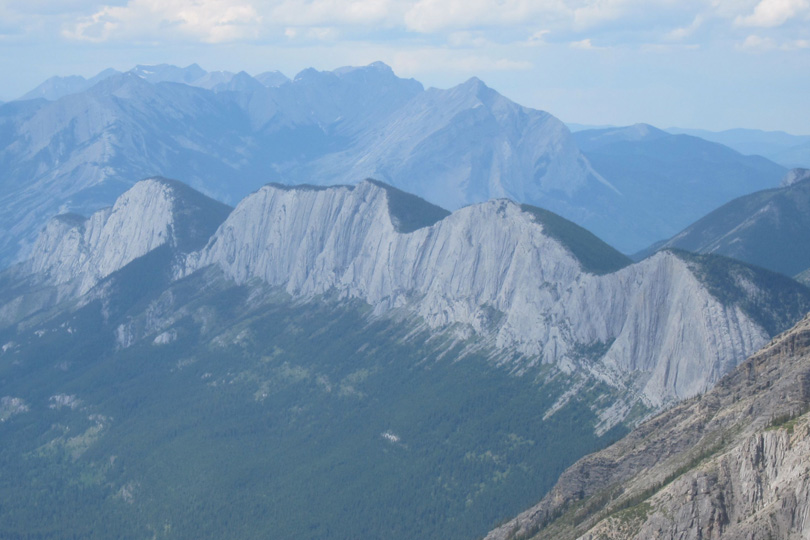 JasperNP540x810-8713